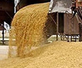 Will U.S. Farmers have Enough Grain Storage this Fall?