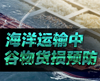 海洋运输中谷物货损预防【图解】