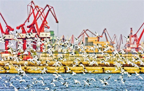 发改委发布环渤海地区合作发展纲要 定调港口群分工