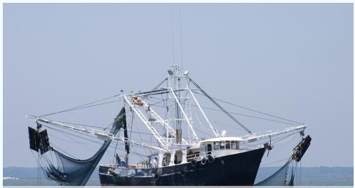 渔船报废拆解改造补贴新办法发布