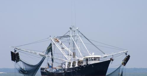 渔船报废拆解改造补贴新办法发布