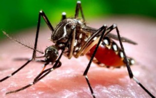 China Tightens Port Measures due to Zika Virus