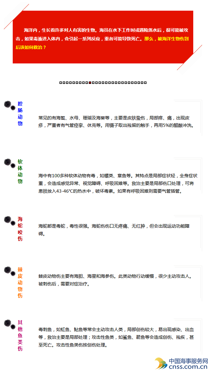 【科普】被海洋生物伤到后该如何救治？