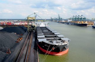 Dry Bulk Rate Recovery Short-Lived?