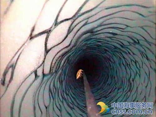 南极洲现巨大冰下湖 或蕴藏未知生命形态