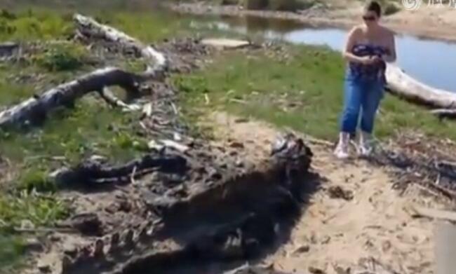 英国海岸现3.3米巨型海兽尸骸 引发网上大猜想【视频】