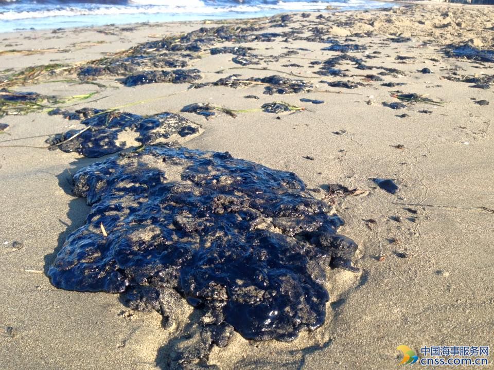 石油泄漏污染阿尔巴尼亚Zvernec海岸