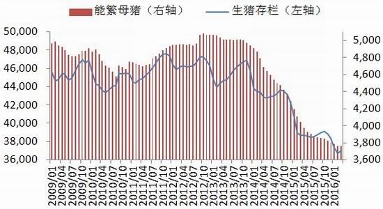 银河期货：豆类供需改变