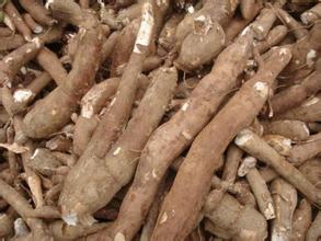加纳2015年木薯产量为1700万公吨