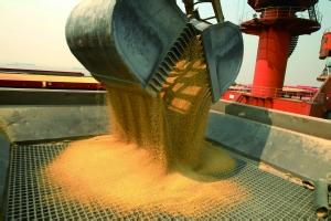 分析预测：阿根廷豆粕出口能力下降刺激美国出口 