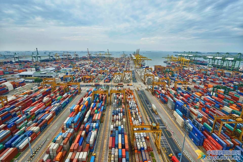 Port of Singapore Sees Recovery in Container Traffic