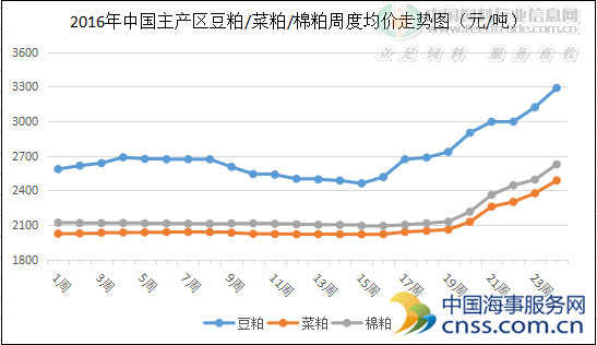 中国豆粕涨势碾压美国 单日成交超美国一年消费量