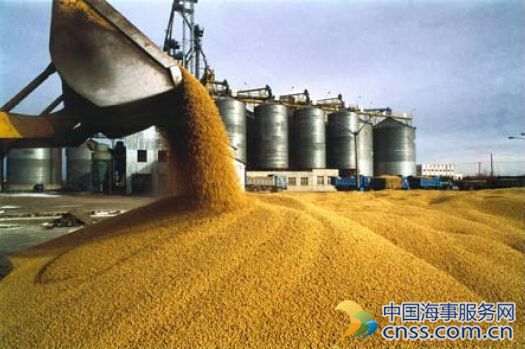 进口大豆商检持续从严，后续分销豆到货量或大降