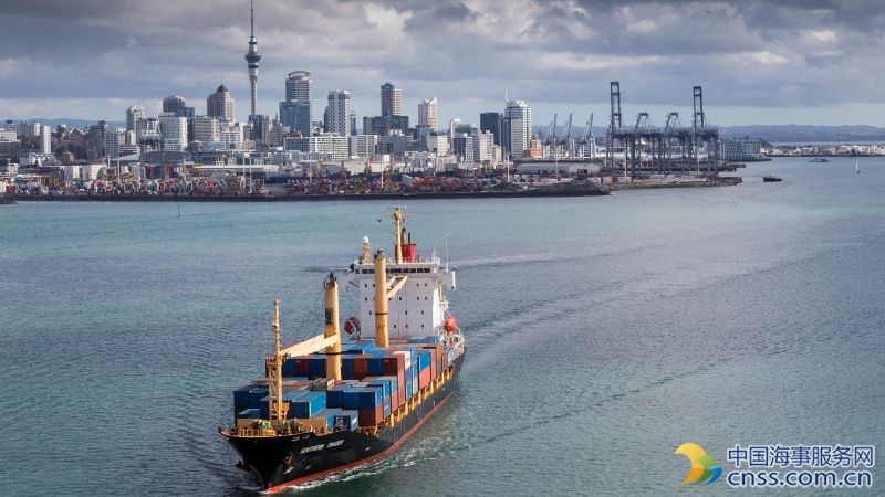 Ports of Auckland Fined After Worker Injured in Fall
