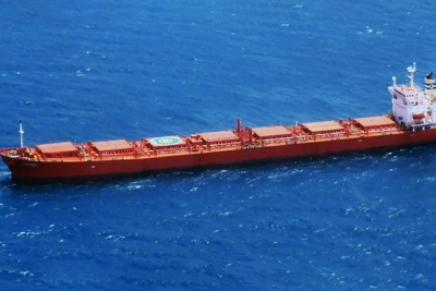 Cosco puts two post-panamax bulkers into Baumarine pool