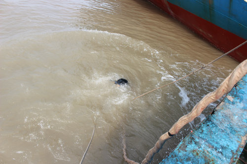 宁波基地成功为地方疏浚船水下解缠