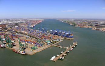 宁波舟山港上半年集箱吞吐量增幅居四大港之首