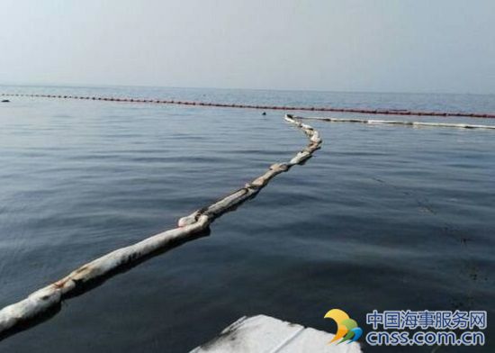 大连泊石湾“神秘”油污为船舶倾倒　部分浴场已开放