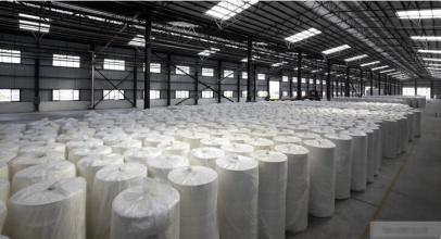 中国成为巴西纸浆第一大进口国