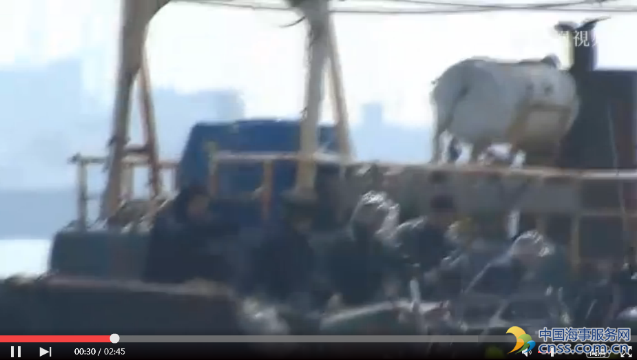 韩海警举行实弹演习 模拟追击中国船只【视频】
