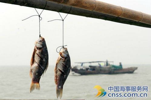 菲将释放12名中国渔民曾以非法捕鱼罪被判6-12年