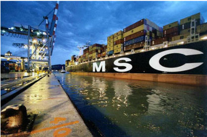 MSC声明：打击假货海运