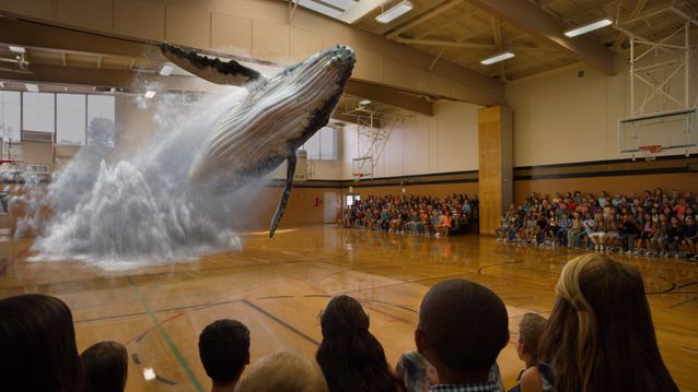 让篮球馆里蹦鲸鱼的那家AR公司是骗子？你信了么？
