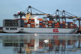OOCL to Withdraw Sailings amid Low Demand