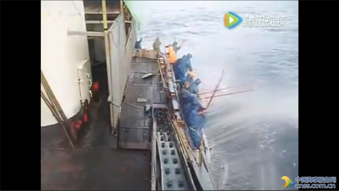 船员发现金枪鱼群，拉上来分分钟十万美金【视频】