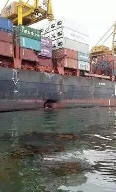 两集装箱船马来西亚港口发生严重碰撞，漏油300吨！