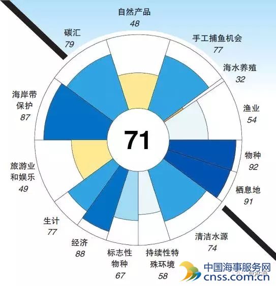 71分！2016年全球海洋体检报告结果不容乐观