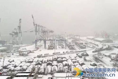 美国两大集装箱港口因暴雪突袭关闭