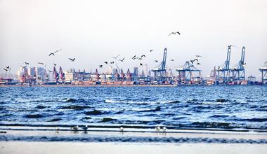 河北港口：煤炭装卸全线换人不停机
