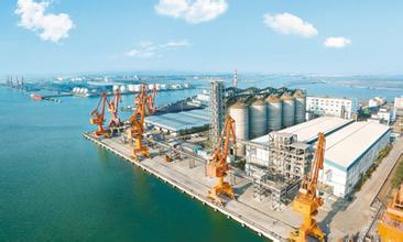 广东阳江港4#泊位码头预计今年7月份试运营