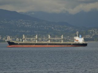 USCG Detains Two Bulkers in Portland and Kalama
