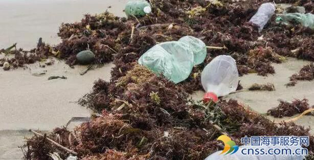 联合国向海洋垃圾“宣战”