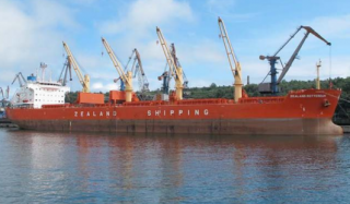 Algoma, Nova to Form Short-Sea Shipping Company