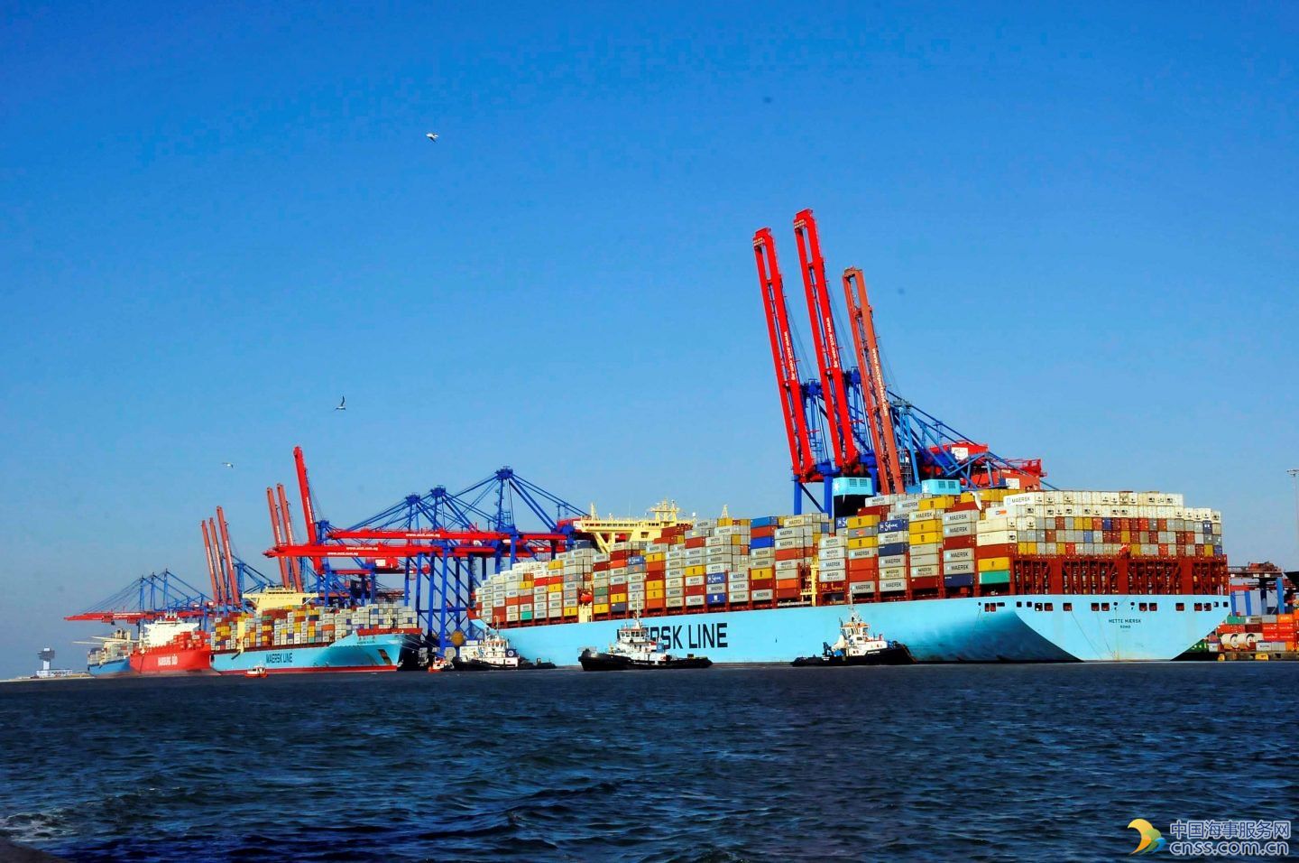 Spotted: Giant Boxship Arrives at Suez Canal Container Terminal