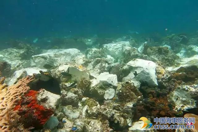 英国邮轮搁浅 损毁印尼东部大片珊瑚礁