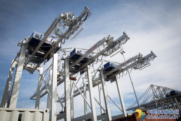 Spotted: Giant STS Crane Starts Work at Port of Savannah