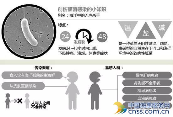 创伤弧菌：海洋中的“无声杀手”