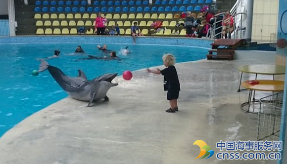克里米亚聪明海豚与男孩互抛皮球嬉戏