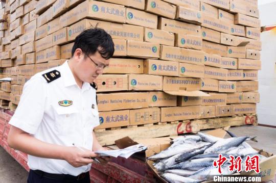“史上最严禁渔期”催生浙江远洋渔业发展
