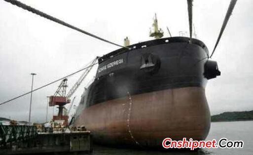 扬帆集团38520吨系列散货船签字交付