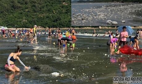 两船相撞致9000吨棕榈油泄漏污染香港海滩