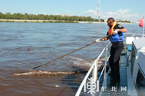 黑龙江黑河段水位上涨 海事部门保障汛期船舶航行安全