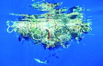 用微生物对付海洋塑料垃圾