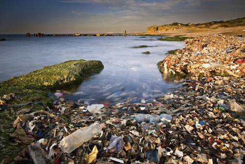 图1 海洋“塑料垃圾岛”（图片来源于网络）