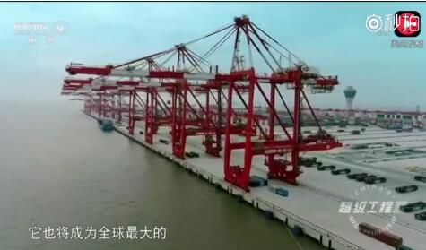 全自动化！中国这个港口太高级