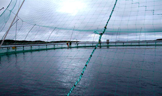 中国造！世界首座半潜式智能海上渔场